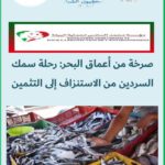 صرخة من أعماق البحر : رحلة سمك السردين من الاستنزاف إلى التثمين